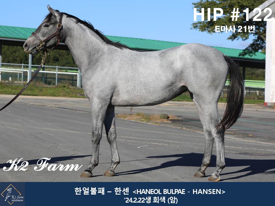 (24년생,암)한얼불패 자마 *부 : 한센