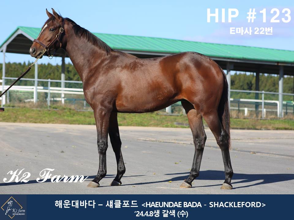 (24년생,수)해운대바다 자마 *부 : 섀클포드