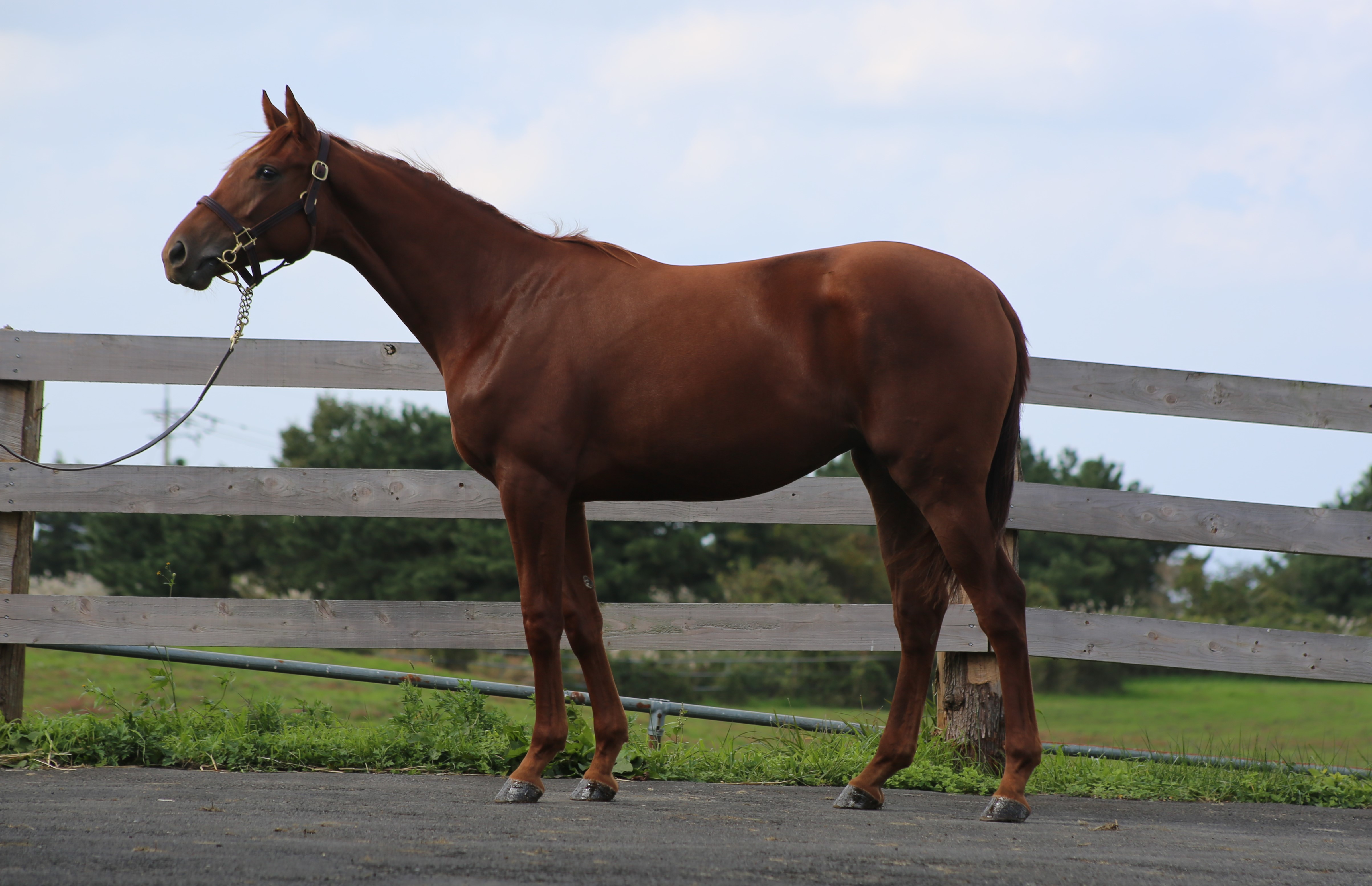 (24년생,암)모닝제주 자마 *부 : 트리플나인